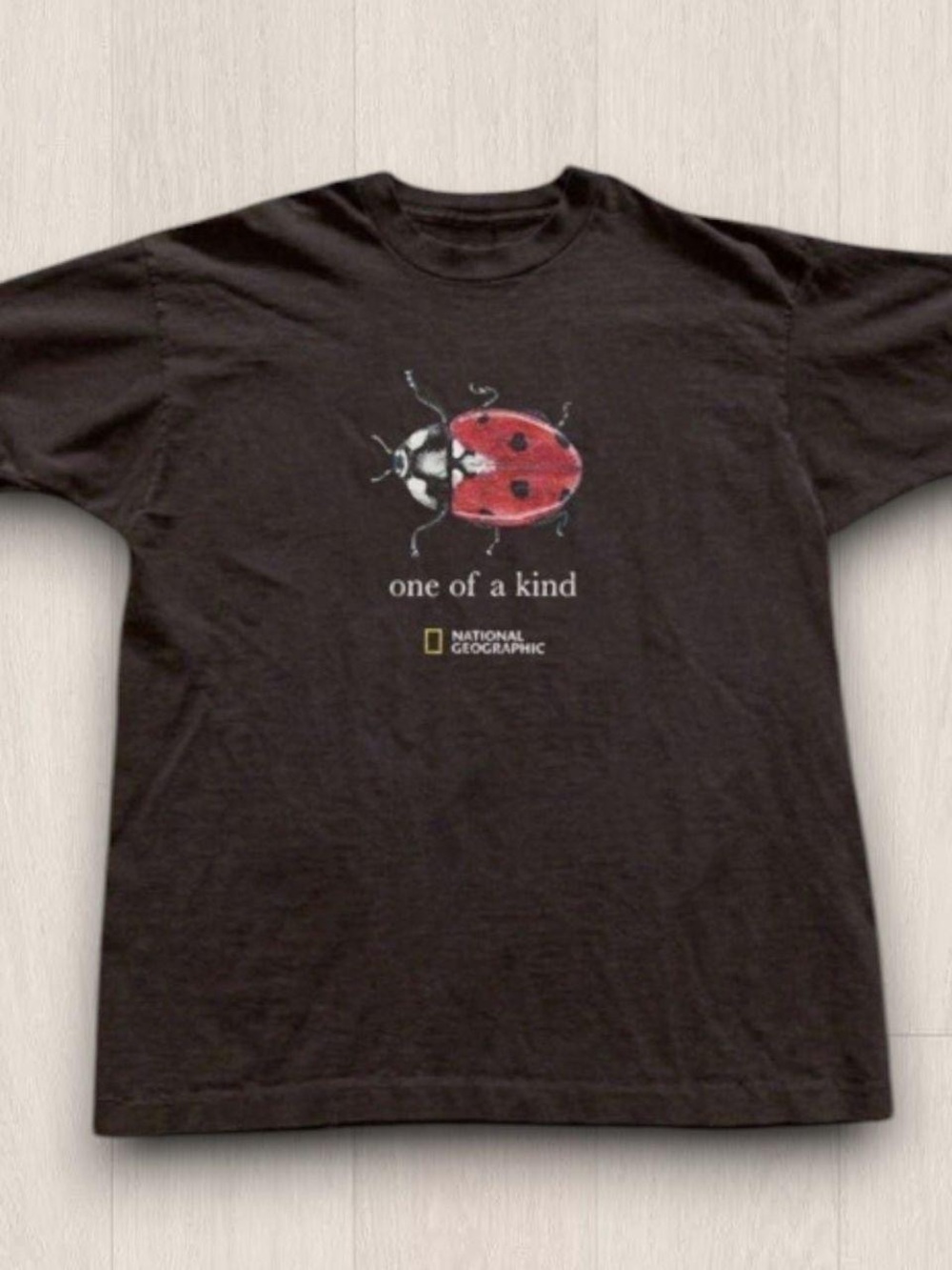 Gildan Black Tee with Red Ladybug Graphic
